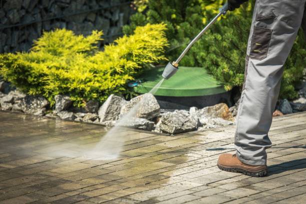 Animal Enclosure Cleaning in Fort Worth, TX